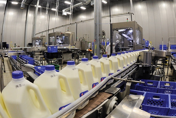 Solarizing Manufacturing Plants for Sustainable Milk Production
